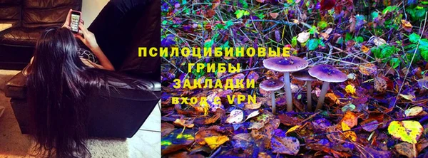 бутират Горняк