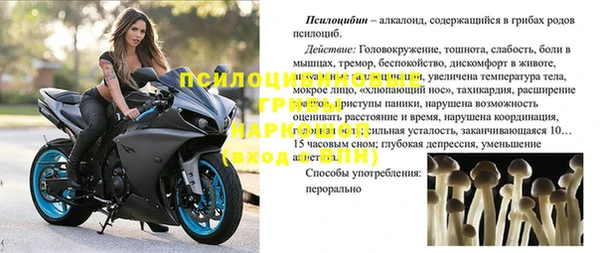 бутират Горняк