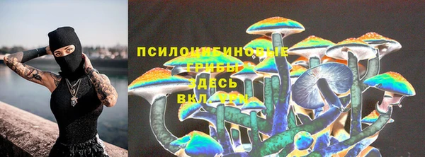 бутират Горняк