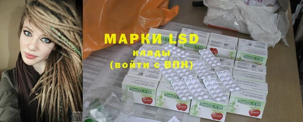 ГАЛЛЮЦИНОГЕННЫЕ ГРИБЫ Вязники