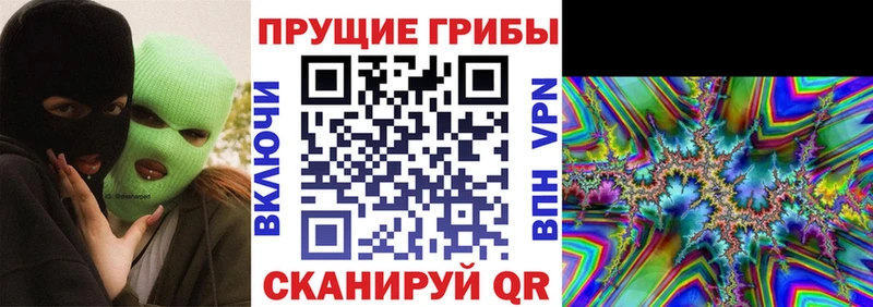 Псилоцибиновые грибы Cubensis Купить закладки Донской